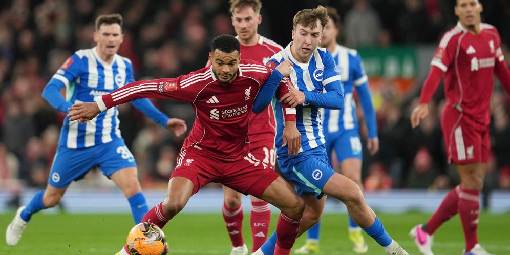 Tonton Live Match Info Brighton vs Liverpool Tayang Hari Ini